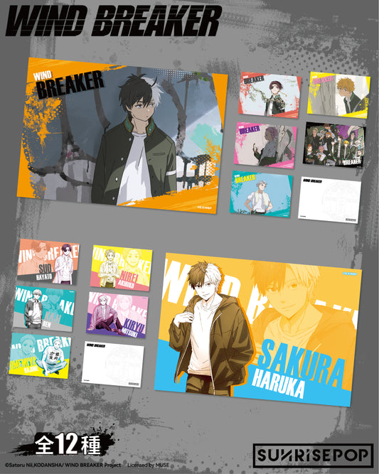 防風少年 明信片套裝 (12款一套)
